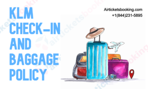KLM Check-in and Baggage Policy