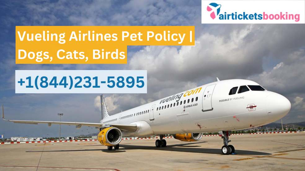 Vueling Airlines Pet Policy | Dogs, Cats, Birds